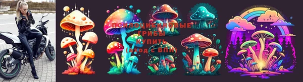 ECSTASY Алексин