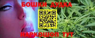 СК Волгодонск