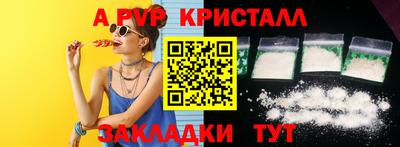 СК Волгодонск