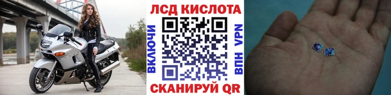 kraken как войти  Димитровград  Наркотические марки 1,8мг 
