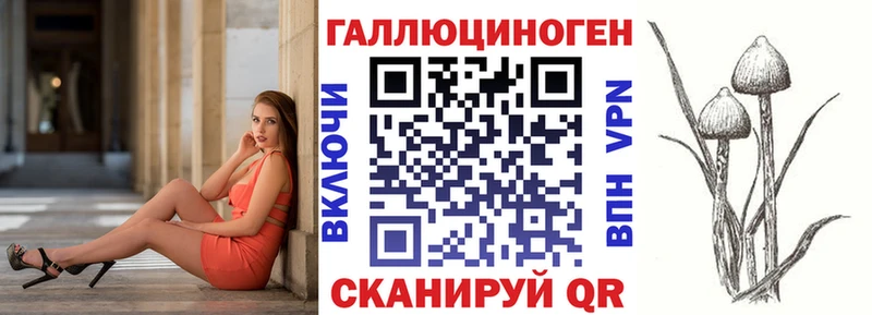 Галлюциногенные грибы Psilocybine cubensis  Димитровград 