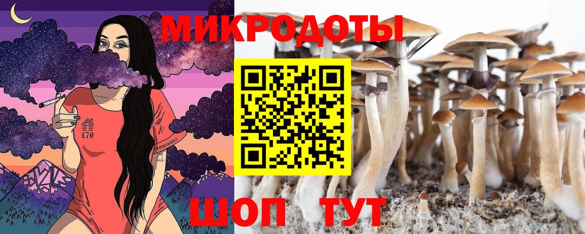 Галлюциногенные грибы GOLDEN TEACHER Димитровград