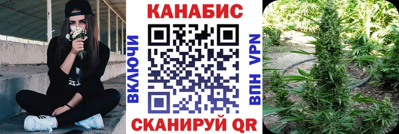 закладки  Димитровград  Марихуана SATIVA & INDICA 